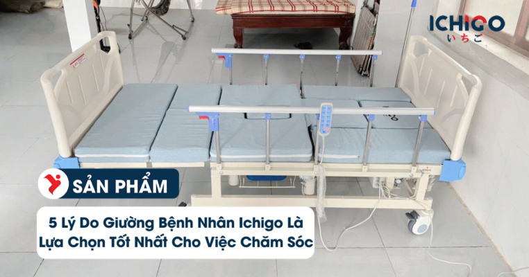 Giường Bệnh Nhân