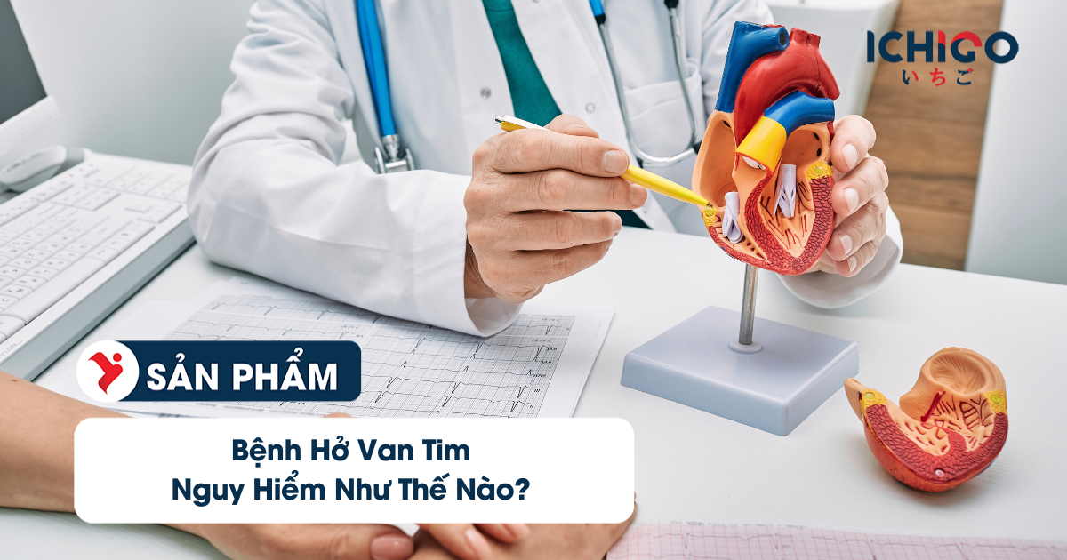 Bệnh Hở Van Tim