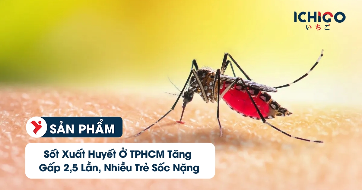 sốt xuất huyết