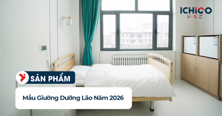 giường dưỡng lão